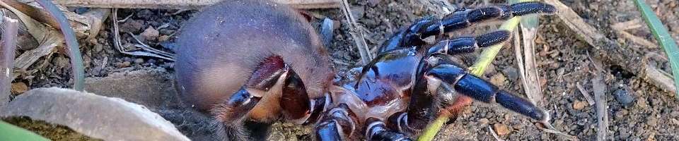 Klicken um die Schaltflächen zu zeigen oder zu verbergen
