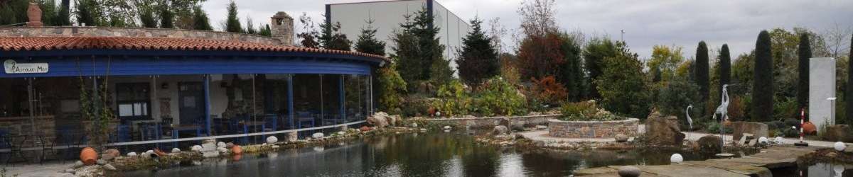 Klicken um die Schaltflächen zu zeigen oder zu verbergen