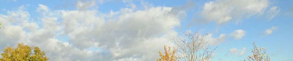 Klicken um die Schaltflächen zu zeigen oder zu verbergen