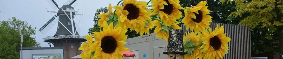 Klicken um die Schaltflächen zu zeigen oder zu verbergen