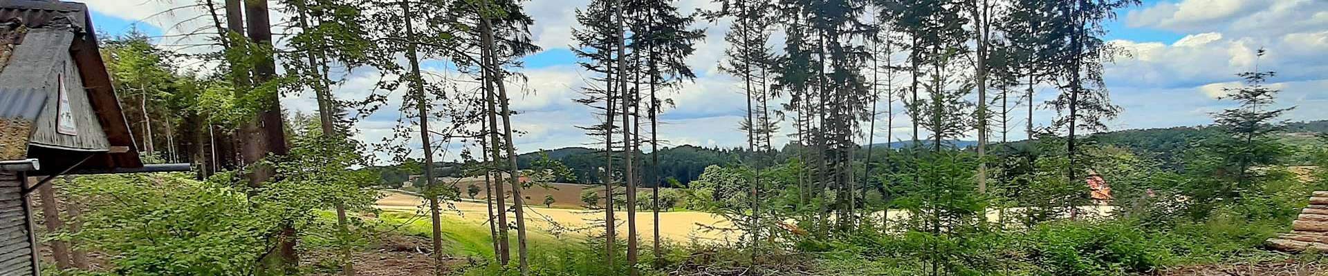 Klicken um die Schaltflächen zu zeigen oder zu verbergen