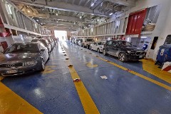 7: 120240421_102905_1920