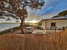 49: 120240422_193320_1920