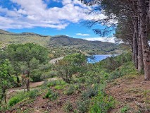 50: 120240423_104203_1920