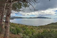 52: 120240423_105743_1920