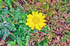 60: 120240423_111631_1920