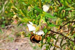 62: 120240423_111808_1920