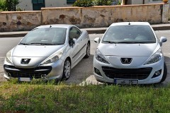 106: 1DSC_8674_1920b