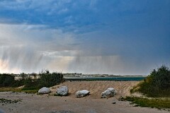 14: 1D51_8426_1920