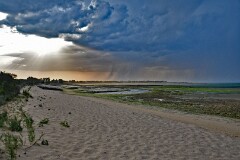 15: 1D51_8433_1920