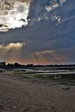 17: 1D51_8538_1920