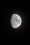 19: 1D51_8543_1920