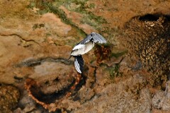 46: 1D51_8080_1920