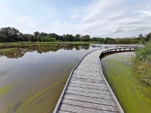 11: 120210821_130244_1920