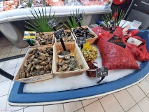 3: 120230627_112556_1920