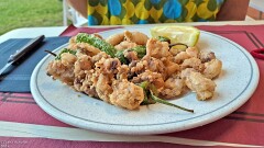 44: 120250627_211137_1920_s