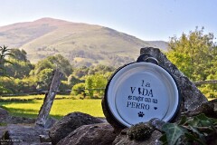 23: 1D52_1148_1920_s