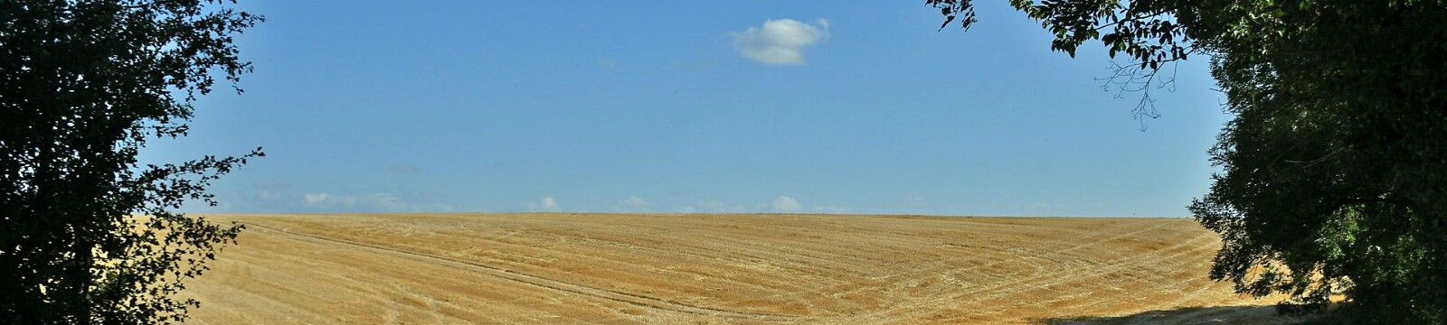 Fromagerie Sylvie in Tourteron (F)