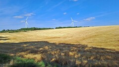 7: 120250715_182848_1920_s