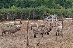 20: 120250715_220213_1920_s