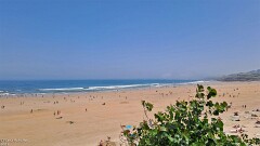 1: 120250629_140454_1920_s