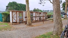 26: 120250701_101011_1920_s