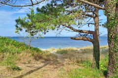 17: 120250703_105903_1920_s