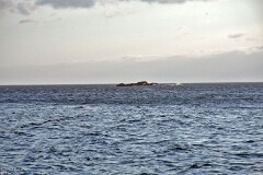 11: 1D52_1682_1920_s