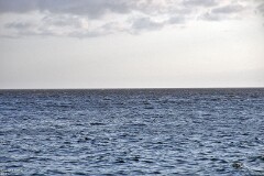 12: 1D52_1683_1920_s