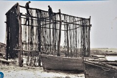 29: 1D52_1725_1920_s