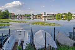 1: 120250718_193755_1920_s