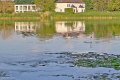 4: 120250718_194219_1920_s