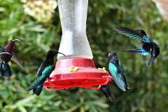 16: 1D51_4477_1920_s