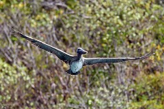 27: 1D51_5979_1920_s