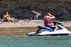 28: 1D51_5994_1920_s