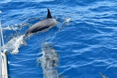 27: 1D51_5763_1920_s