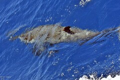 36: 1D51_5842_1920_s