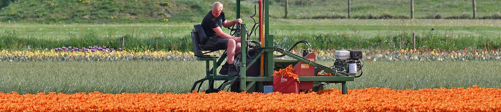 Noordholland 2025 Mai