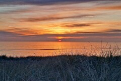 10: 120250501_210526_1920