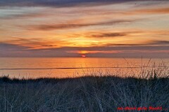 11: 120250501_210526_1920_text