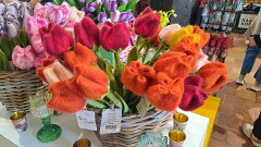 22: 120250502_111511_1920