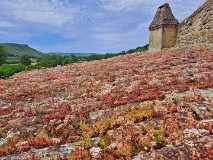 12: 120240617_124623_1920