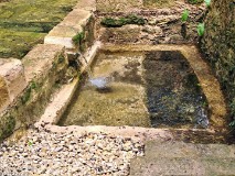 13: 120240619_134842_1920