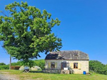 9: 120240626_121152_1920