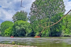 5: 120240624_122916_1920