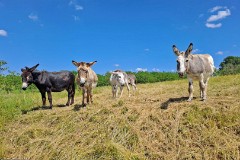 7: 120240626_155940_1920