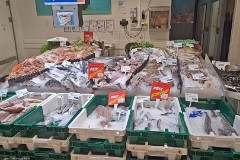 2: 120240629_161739_1920