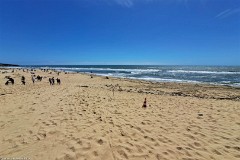 3: 120240704_155034_1920