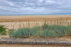 1: 120240701_134106_1920