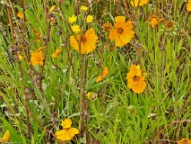 3: 120240704_111711_1920